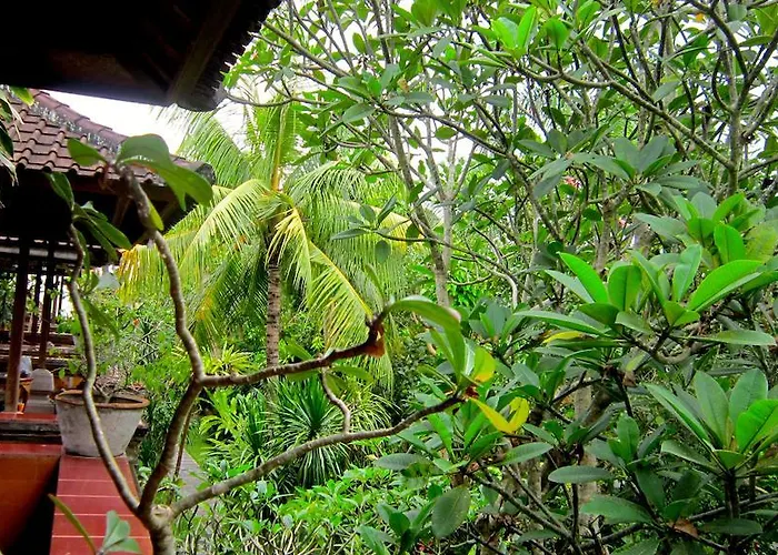 Ubud Bungalow Tatil parkı Ubud